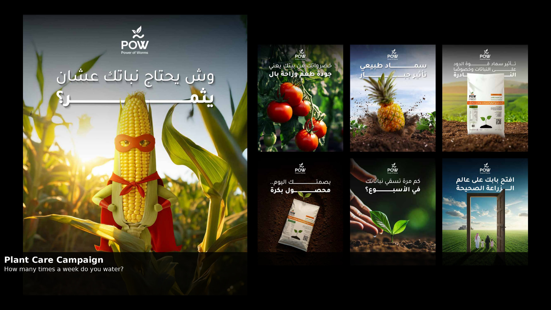 POW · Plant Care Campaign
